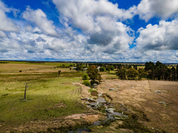 istock Countryside Deepwater NSW Australia 1347191142