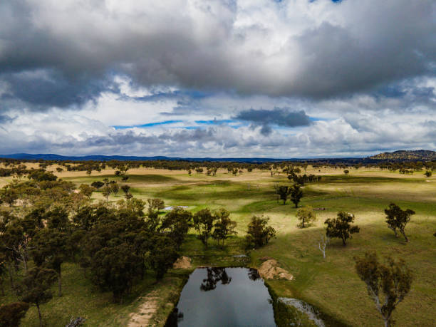 istock Countryside Deepwater NSW Australia 1347192176