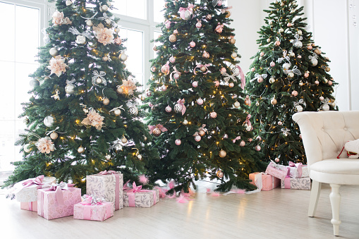 Three elegant Christmas trees in a bright room. New Year's and Christmas