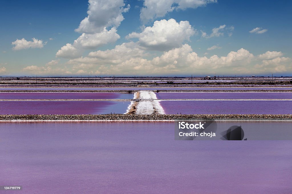 Sól ponds w południowej Provence - Zbiór zdjęć royalty-free (Camargue)