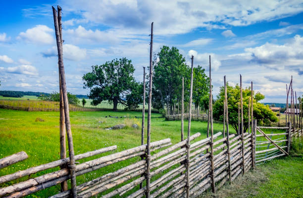 panroama widok typowego krajobrazu w szwecji z czerwonymi domami i lasem - falun zdjęcia i obrazy z banku zdjęć