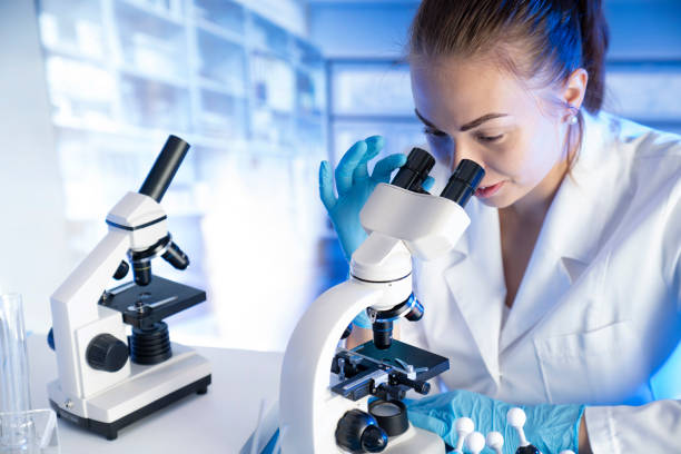 istock Laboratory investigations. 1347198818