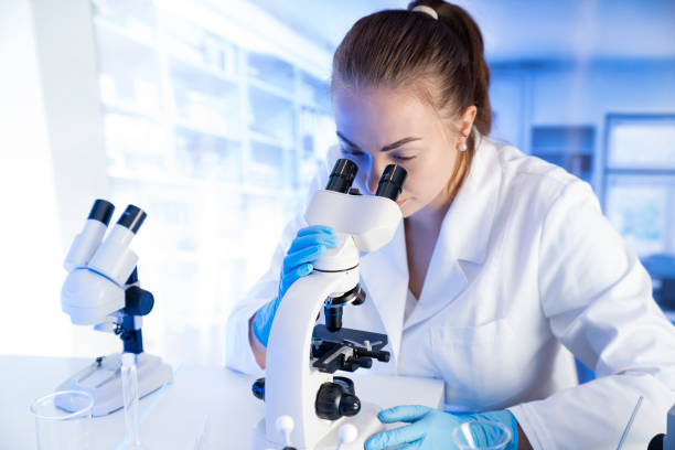 istock Laboratory investigations. 1347198859