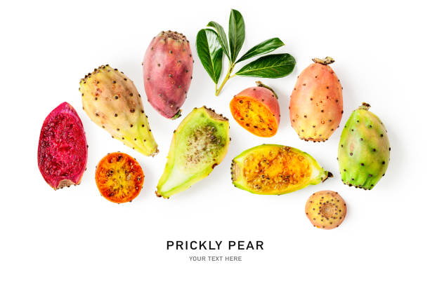 プリック梨サボテンフルーツクリエイティブレイアウト - prickly pear fruit cactus prickly pear cactus yellow ストックフォトと画像