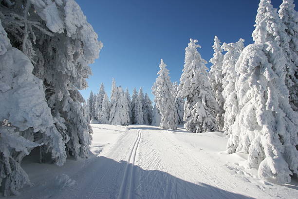 High snow