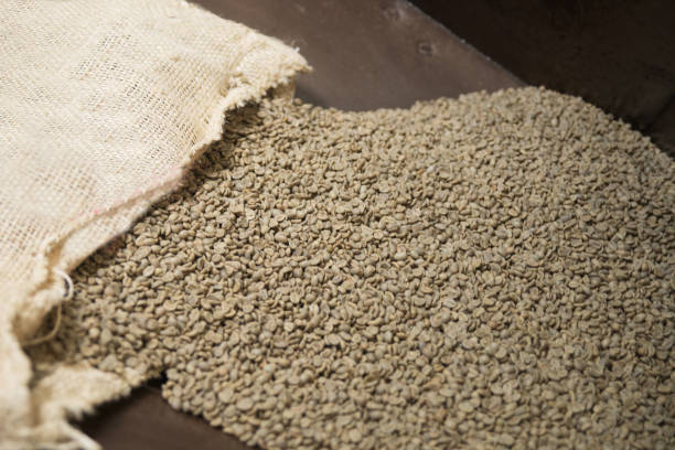 istock Green coffee beans in bag 1347205678