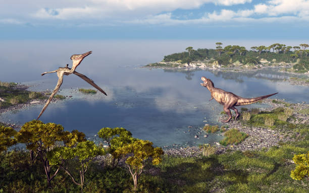 Pterosaur Pterodactylus and dinosaur Tyrannosaurus Rex stock photo