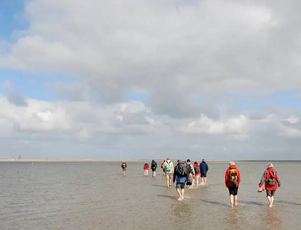 A group of people walking on the sand flats in the Dutch Waddensea.