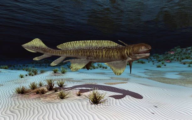 istock Prehistoric shark Orthacanthus 1347208050