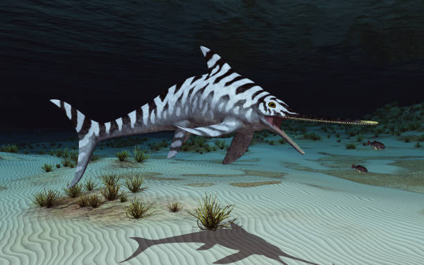 istock Ichthyosaur Eurhinosaurus 1347208479