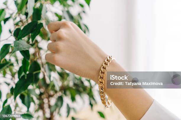 Golden Bijouterie Bracelet On Woman Hand Plant Stock Photo - Download Image Now - Bracelet, Gold - Metal, Women