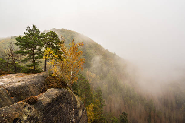 istock View to rocks and trees in the Saxon Sandstone Mountains, Germany 1347209427