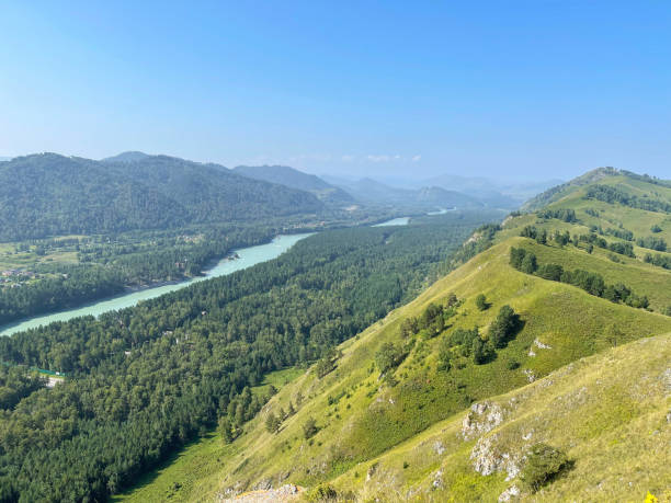 istock Dense forest in the valley, against the backdrop of mountains 1347209825
