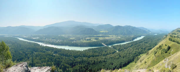 istock Dense forest in the valley, against the backdrop of mountains 1347209934