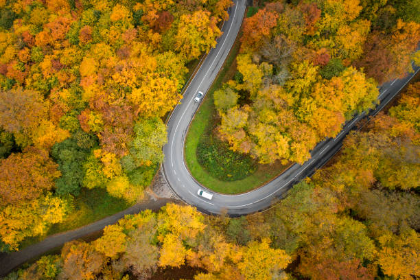 istock Road through autumnal forest - aerial view 1347212759
