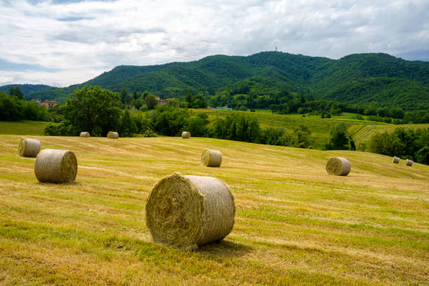 istock Rural landscape near Riolo and Canossa, Emilia-Romagna. 1347213480