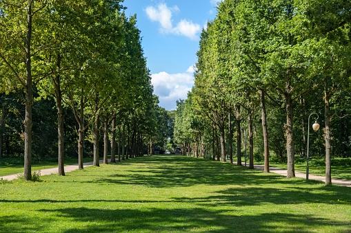 Tiergarten Park in Berlin