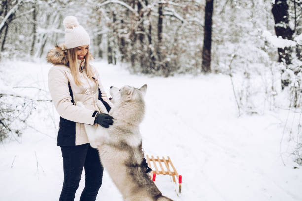 istock Beauty and the beast on the snow 1347214684