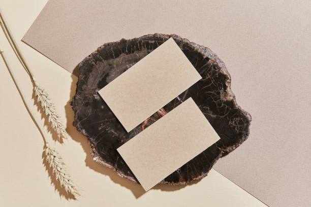 istock Flat lay of creative minimalistic composition with mock up visit cards, rock, natural materials, dry plants and personal accessories. Neutral colors, top view, template. 1347214818