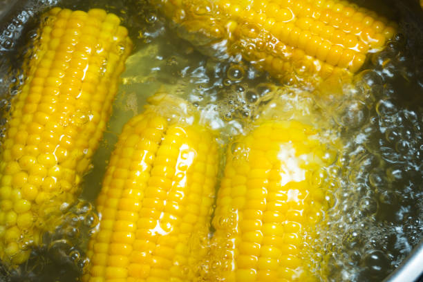 istock Sweet Corn cobs boiling in hot water in the pot. 1347215323