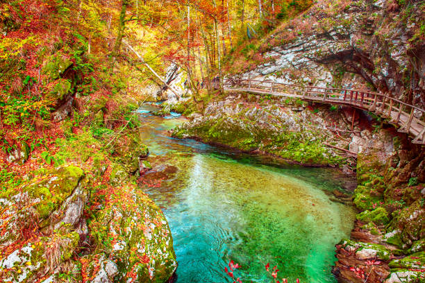 istock Vintgar gorge, Slovenia 1347216472