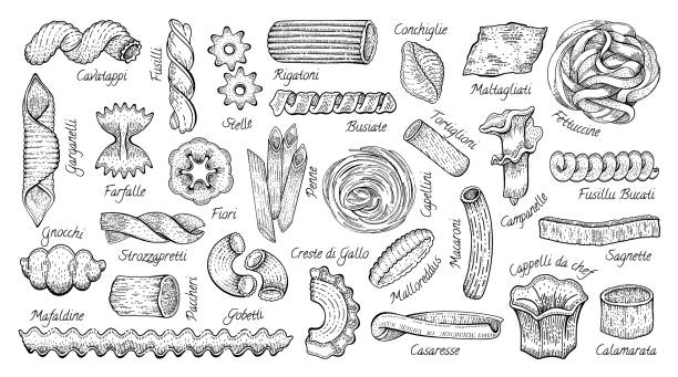 ilustraciones, imágenes clip art, dibujos animados e iconos de stock de pasta italiana. conjunto de iconos de boceto de comida vectorial. ilustración de macarrones doodle. colección de cocina dibujada a mano. pasta fettuccine fusilli gobetti rigatoni capellini conchiglie tortiglioni penne farfalle fiori - noodles