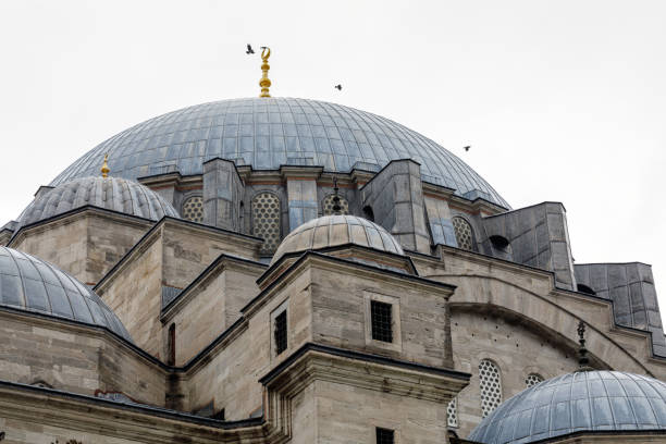 detalhes da arquitetura da mesquita suleymaniye com cúpula principal, istambul, turquia - friday mosque - fotografias e filmes do acervo