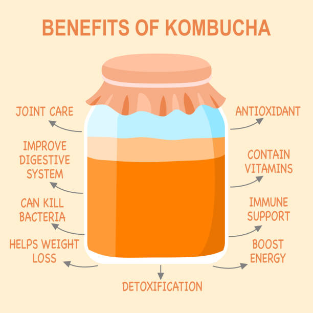 Benefits of kombucha tea in flat design. Healthy drink. vector art illustration
