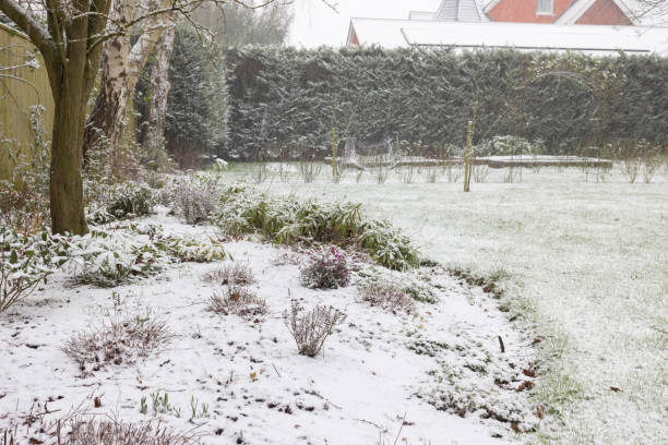 istock Large UK garden in winter snow scene 1347223534
