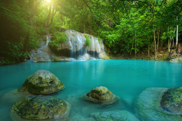 hermosa cascada de bosque profundo en la provincia de kanchanaburi, tailandia. - kanchanaburi province beauty in nature falling flowing fotografías e imágenes de stock