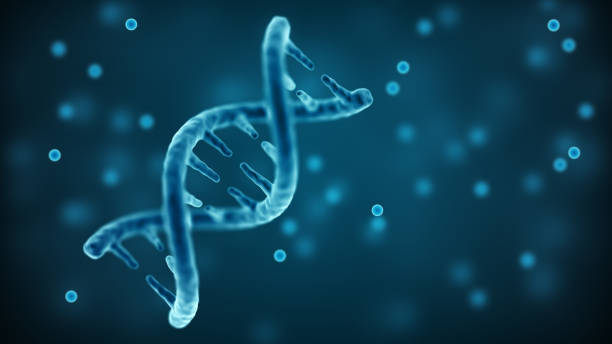 fio de dna. estrutura de hélice dupla. biotecnologia e formação médica - cytosine - fotografias e filmes do acervo