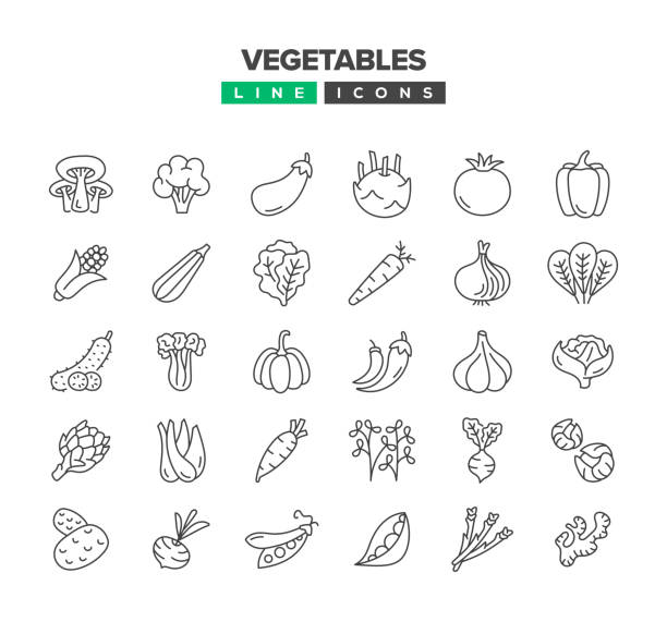 illustrazioni stock, clip art, cartoni animati e icone di tendenza di set di icone della linea di verdure - campo di pomodori