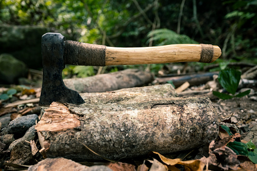 Close up of Axe stuck in log | Outdoor traditional cooking while walking on nature.