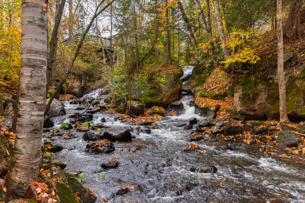 istock AUTUMN LANDSCAPE IN THE UPPER LAURENTIANS IN CANADA-4 1347231850