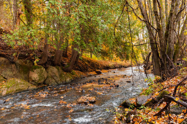 istock AUTUMN LANDSCAPE IN THE UPPER LAURENTIANS IN CANADA-5 1347231858
