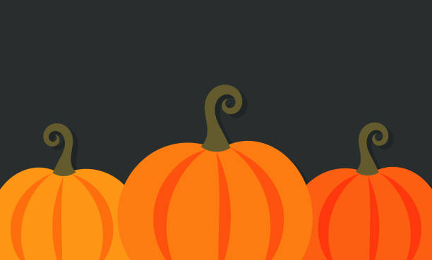 оранжевые осенние тыквы на темном фоне. - pumpkin stock illustrations