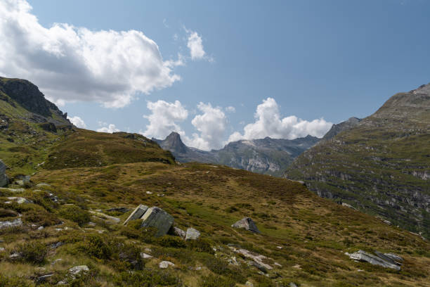 istock Alpine scenery near Vals in Switzerland 1347241143