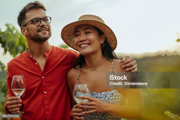 As Good As Nature Intended Stock Photo - Download Image Now - Wine, Vineyard, Winery