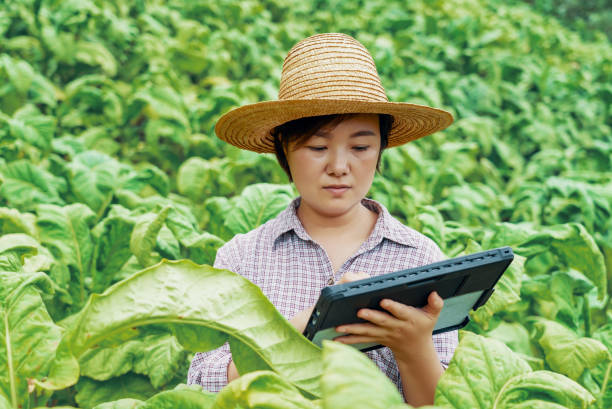 istock Woman using a digital tablet in farm 1347242239