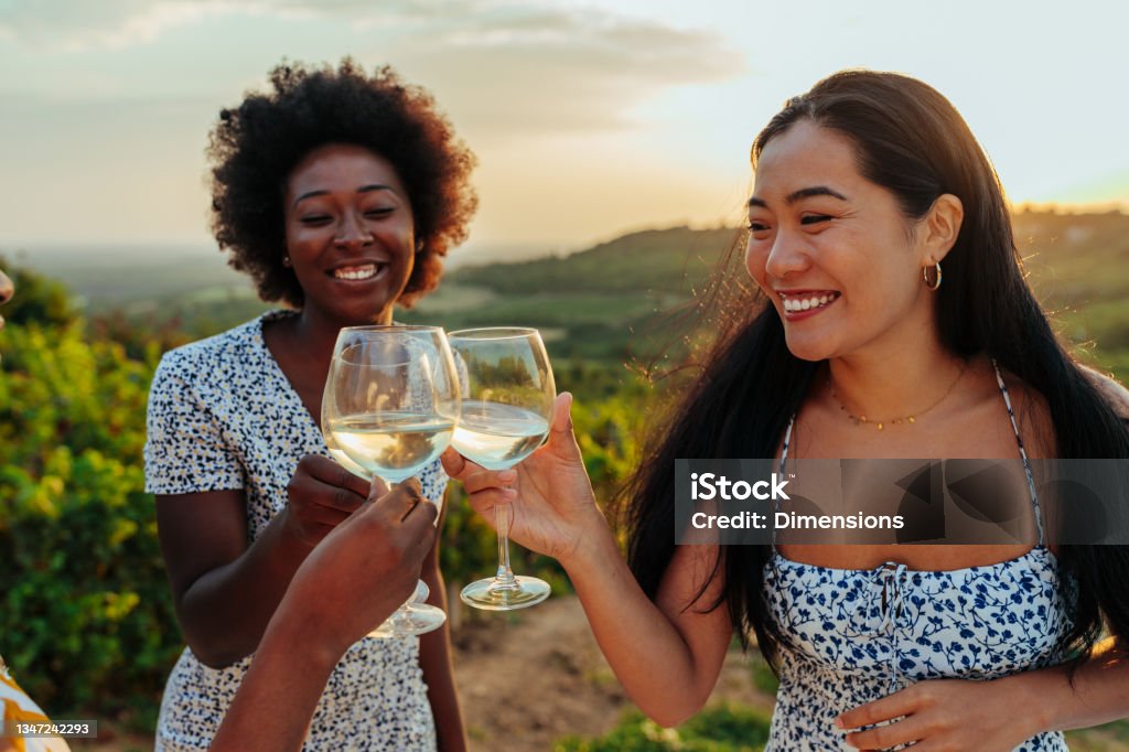 Female friends making a wine toast Female friends making a wine toast. The gathering is in the vineyard at sunset. Everyone is looking cool, laughing and smiling. Wine Stock Photo