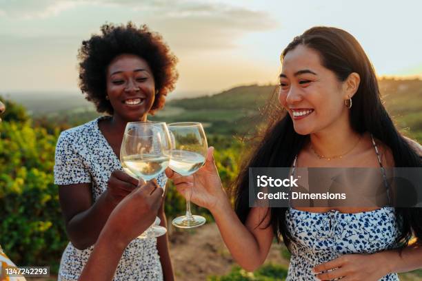 Female Friends Making A Wine Toast Stock Photo - Download Image Now - Wine, Drinking, Vineyard