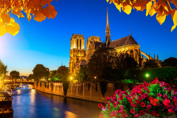 秋とノートルダム - paris france notre dame night ile de la cite ストックフォトと画像