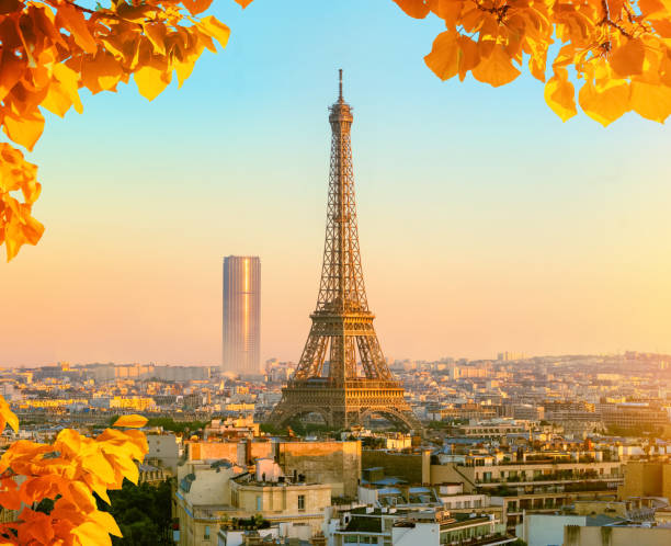 istock Eiffel Tower and Montparnasse Tower 1347242991
