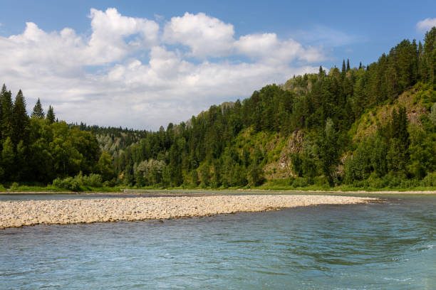 istock Landscape with a river among rocks and forest 1347243540