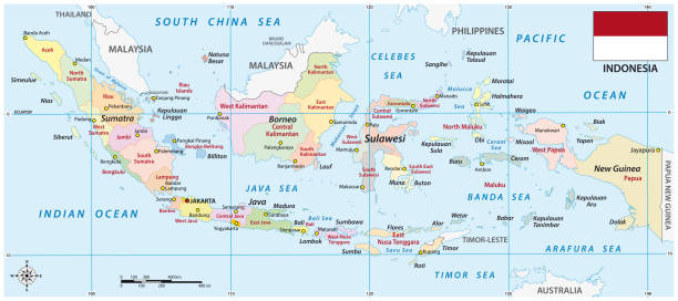illustrazioni stock, clip art, cartoni animati e icone di tendenza di indonesia mappa vettoriale amministrativa con bandiera - island of borneo