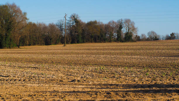 istock Rural agricultural landscape 1347244494