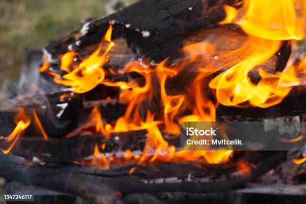 Wood And Flames Stock Photo - Download Image Now - Abstract, Backgrounds, Barbecue - Meal
