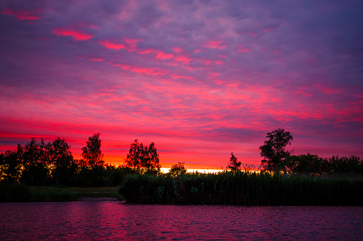 Pond in the Forest on Purple and Red Sunset Sky