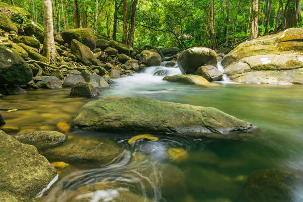 istock Nature background of Thailand 1347264465
