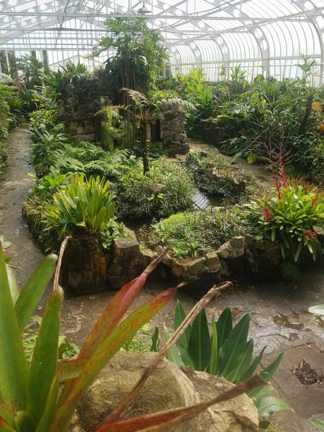 istock Interior of a greenhouse with plants. 1347267525